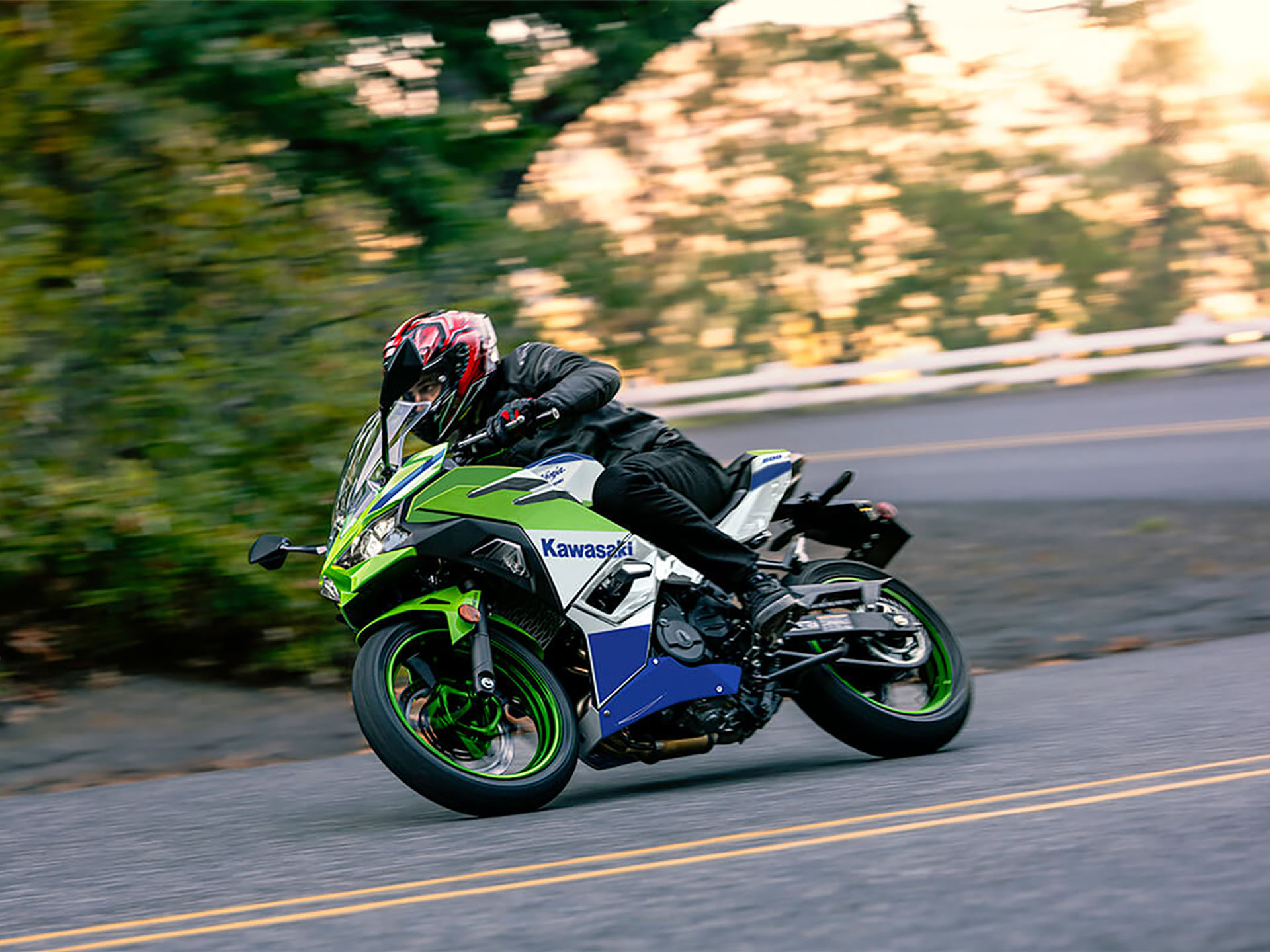 2024 Kawasaki Ninja 500 SE 40th Anniversary Edition ABS in Marietta, Ohio - Photo 4