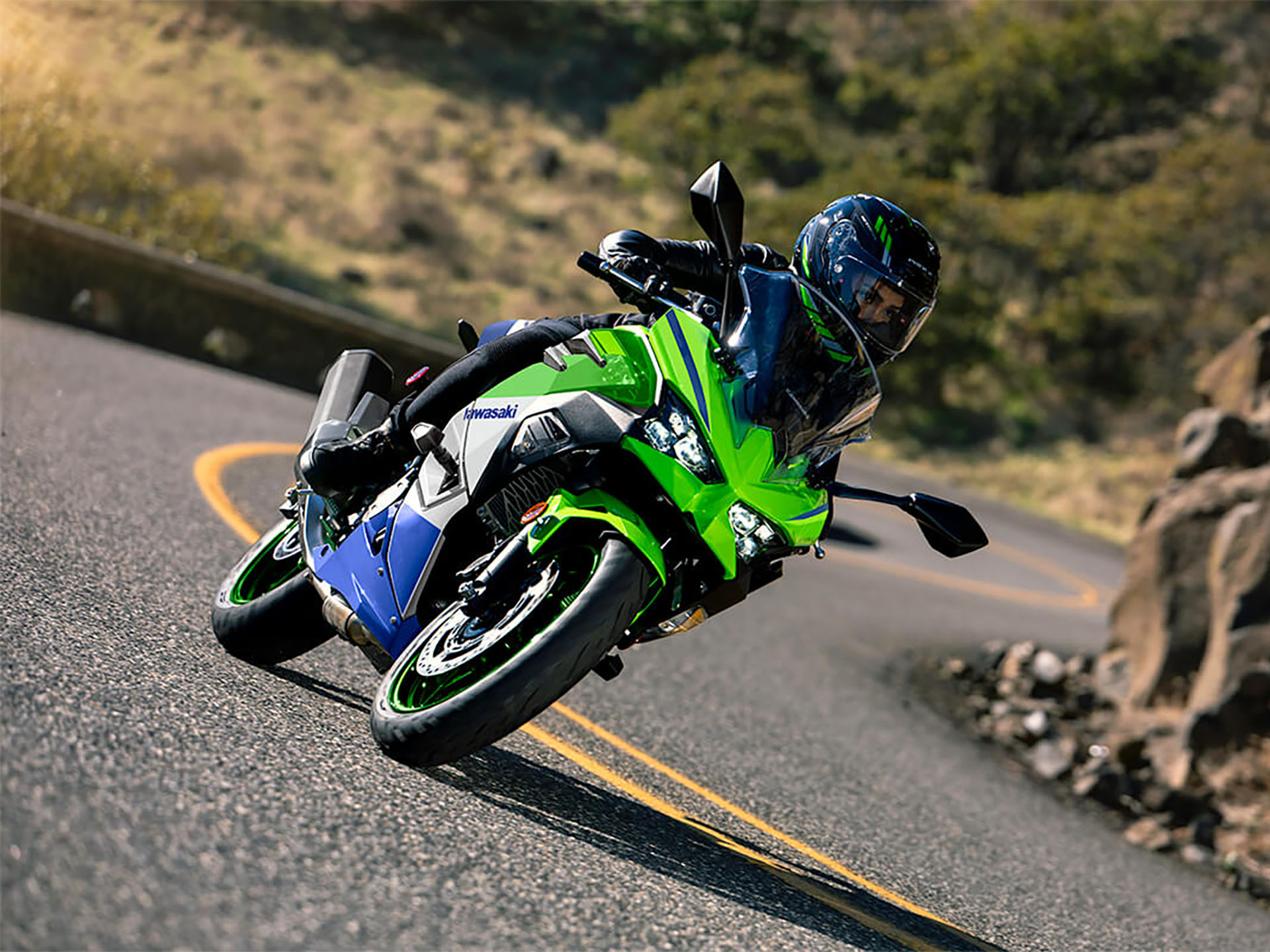 2024 Kawasaki Ninja 500 SE 40th Anniversary Edition ABS in Marietta, Ohio - Photo 6