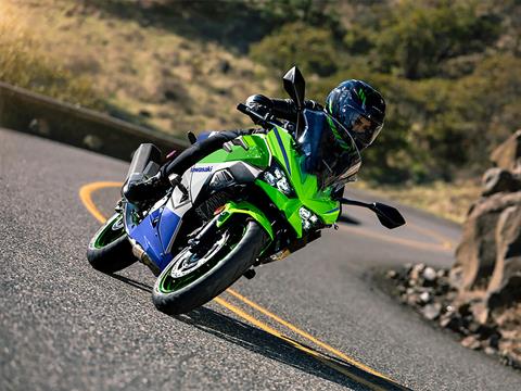 2024 Kawasaki Ninja 500 SE 40th Anniversary Edition ABS in Marietta, Ohio - Photo 6