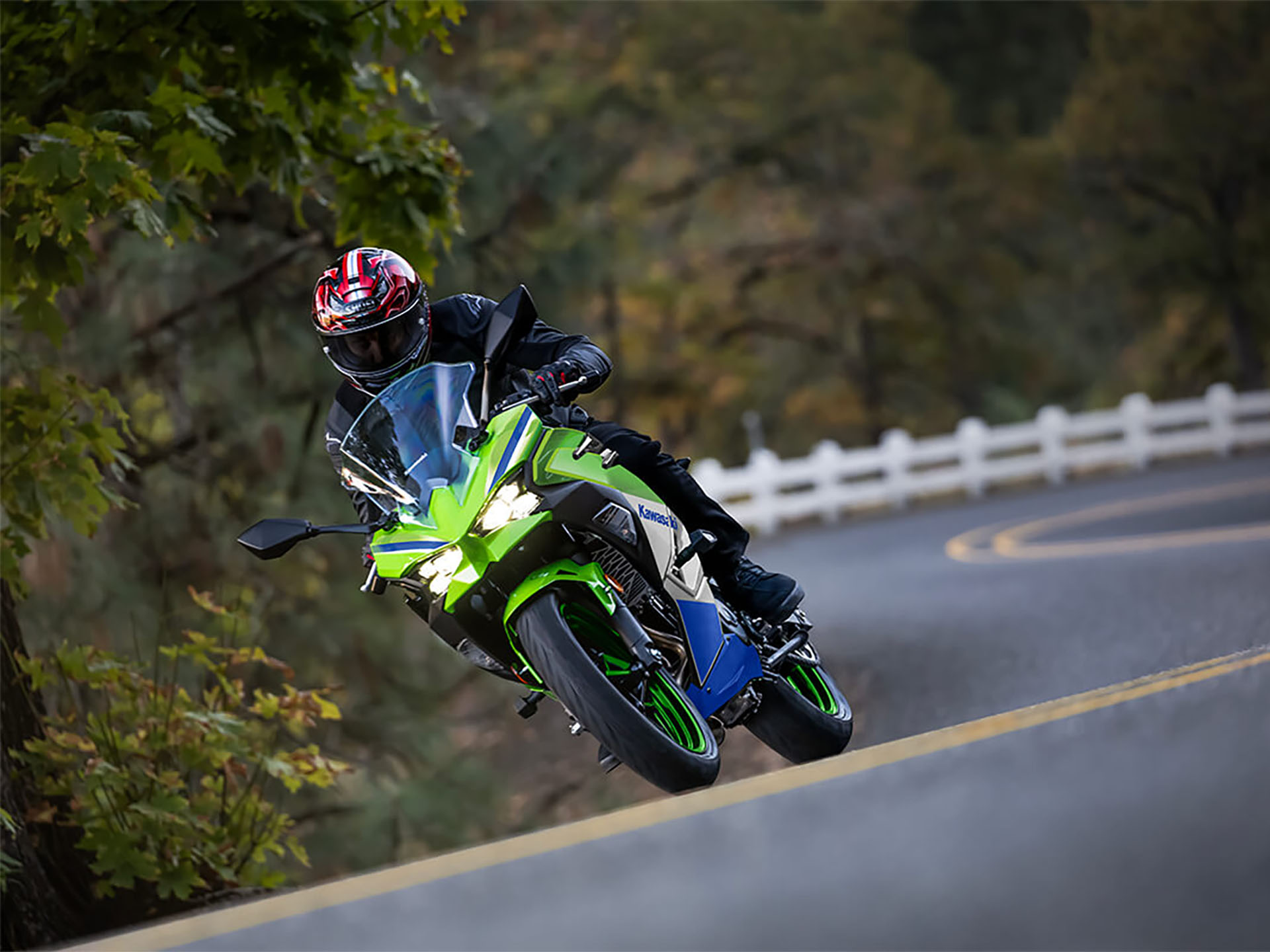 2024 Kawasaki Ninja 500 SE 40th Anniversary Edition ABS in Marietta, Ohio - Photo 7