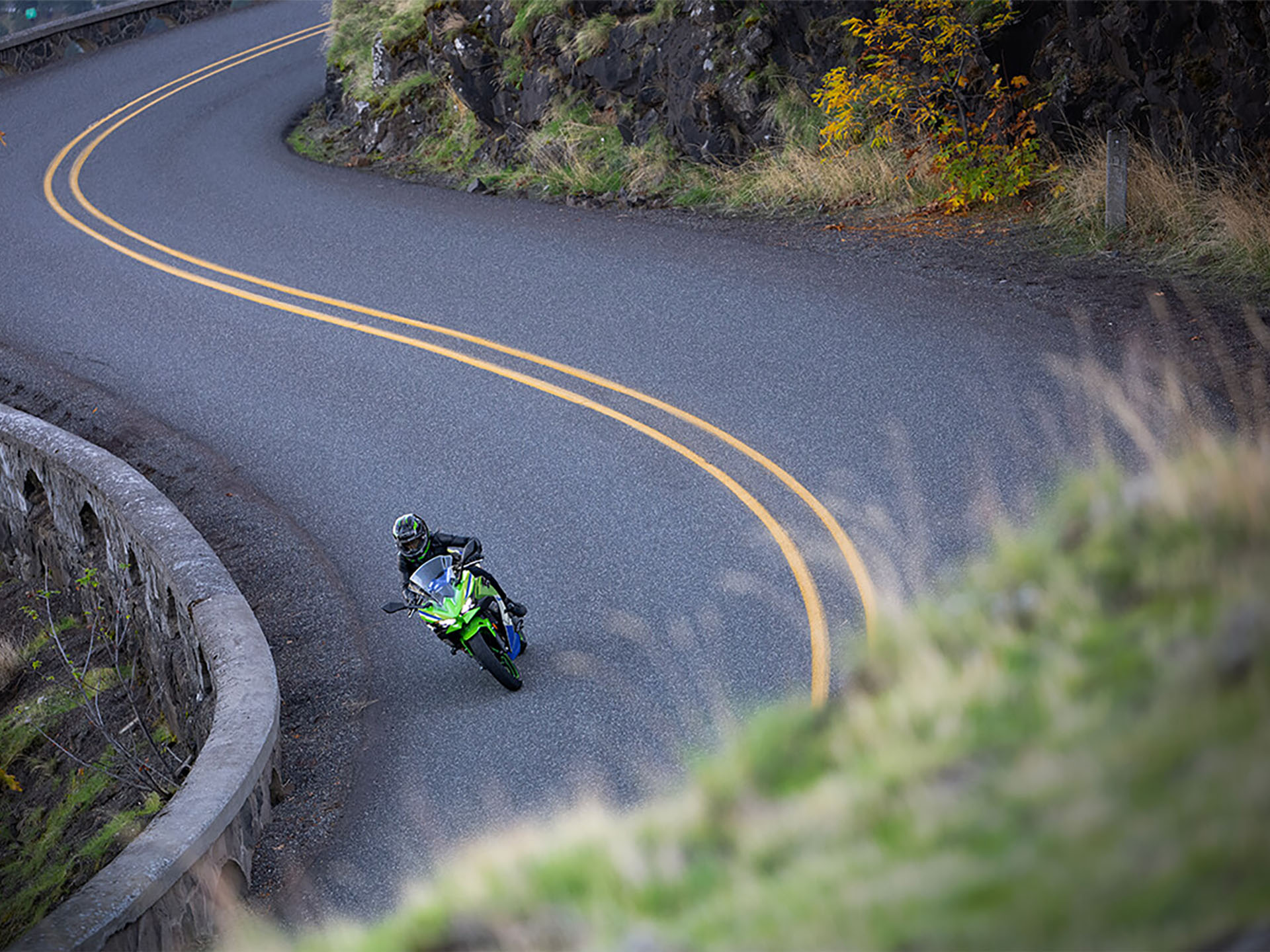 2024 Kawasaki Ninja 500 SE 40th Anniversary Edition ABS in Marietta, Ohio - Photo 8
