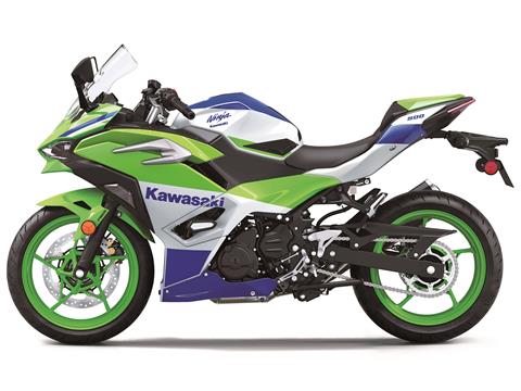 2024 Kawasaki Ninja 500 SE 40th Anniversary Edition ABS in Marietta, Ohio - Photo 2
