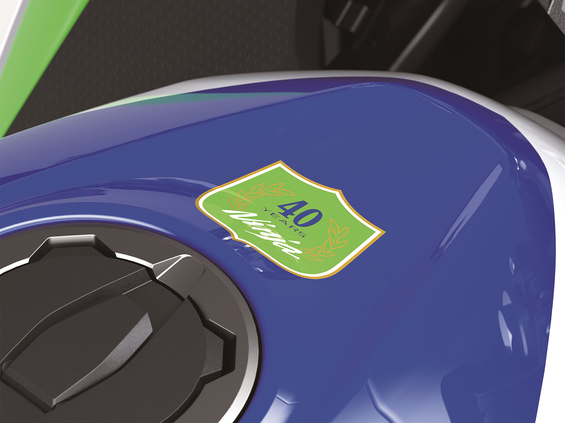 2024 Kawasaki Ninja 500 SE 40th Anniversary Edition ABS in Marietta, Ohio - Photo 5