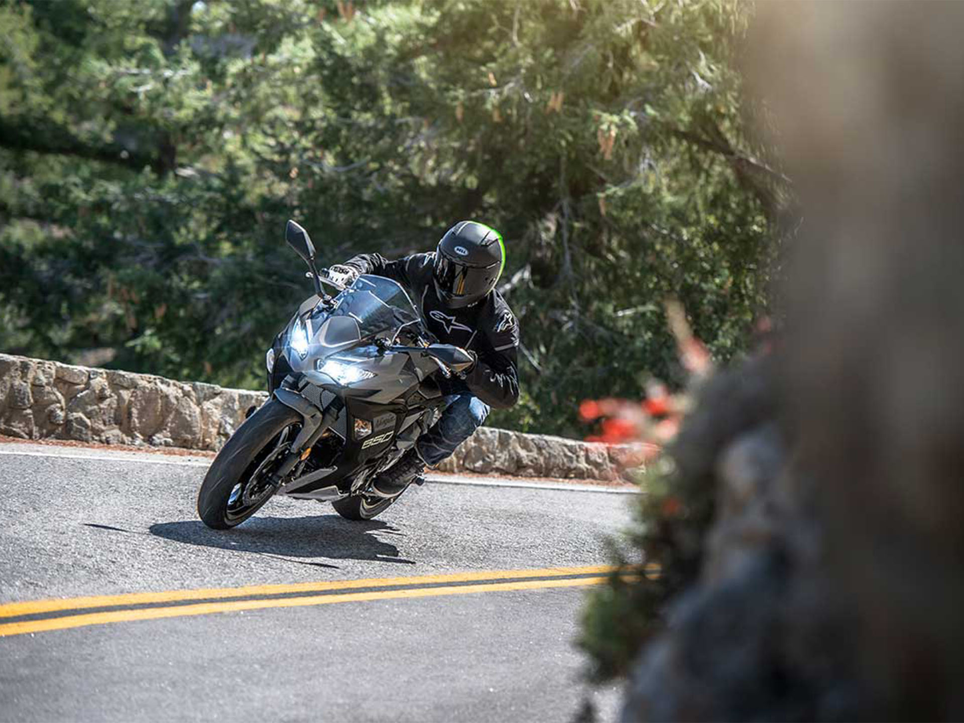 2024 Kawasaki Ninja 650 in Dayton, Ohio - Photo 5