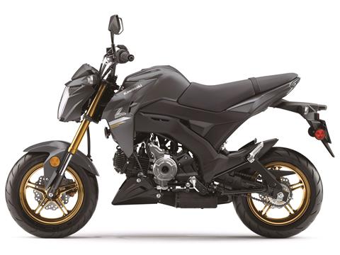 2024 Kawasaki Z125 Pro in Enfield, Connecticut - Photo 2