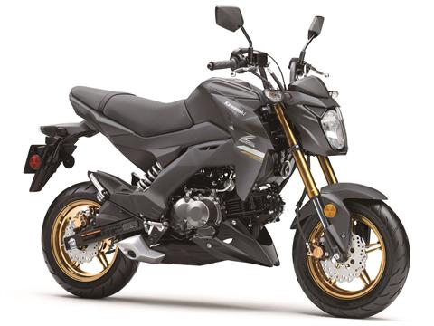 2024 Kawasaki Z125 Pro in Enfield, Connecticut - Photo 3