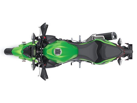 2024 Kawasaki Z500 ABS in Columbia, South Carolina - Photo 4