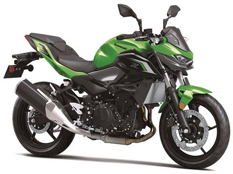 2024 Kawasaki Z500 ABS in Columbia, South Carolina - Photo 3