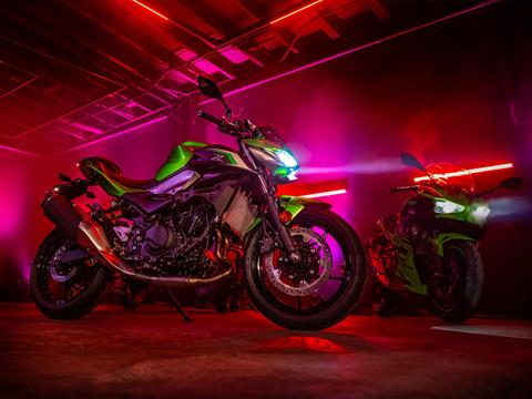 2024 Kawasaki Z500 ABS in Columbia, South Carolina - Photo 9