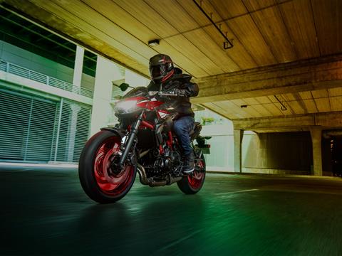 2024 Kawasaki Z650 ABS in Columbia, South Carolina - Photo 7