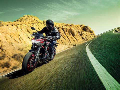 2024 Kawasaki Z650 ABS in Columbia, South Carolina - Photo 8