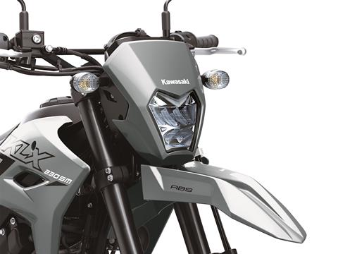 2024 Kawasaki KLX 230SM ABS in Enfield, Connecticut - Photo 6
