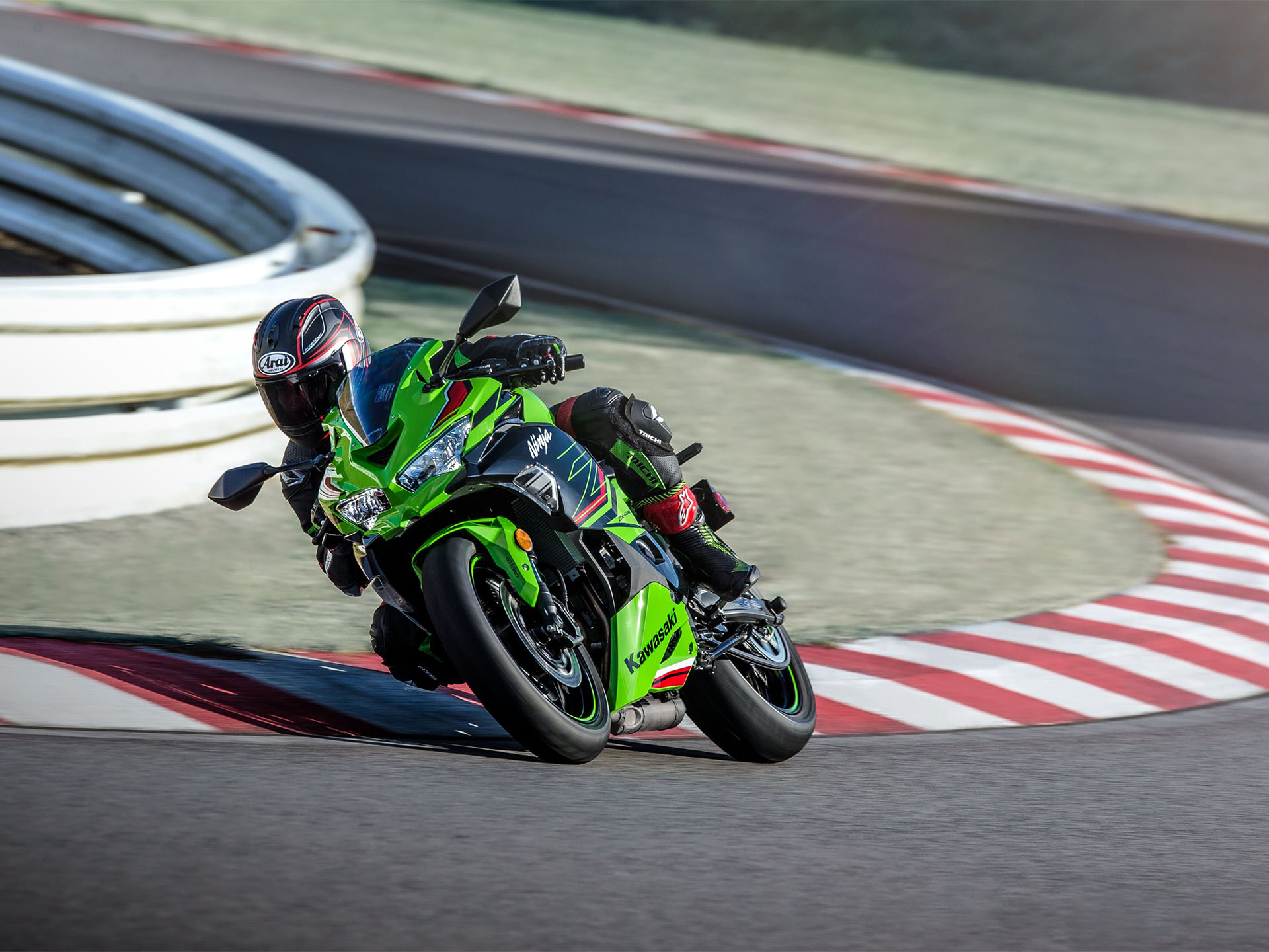 2024 Kawasaki Ninja ZX-4RR KRT Edition ABS in Fairview, Utah - Photo 8