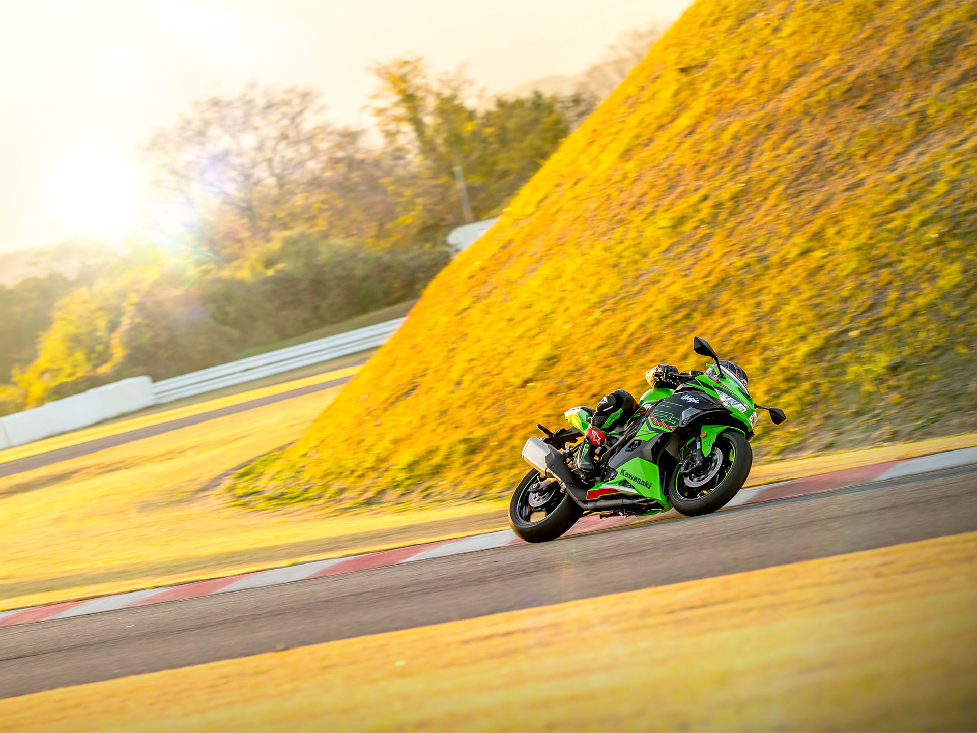 2024 Kawasaki Ninja ZX-4RR KRT Edition ABS in Fairview, Utah - Photo 9
