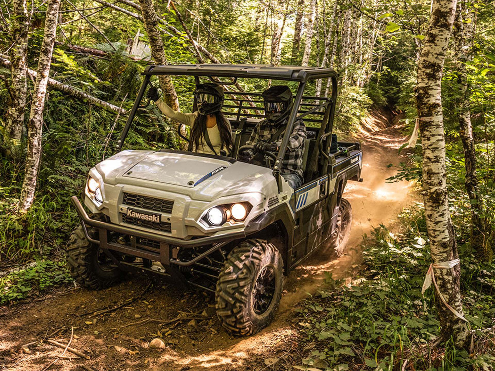 2024 Kawasaki MULE PRO-FXR 1000 LE in Santa Maria, California - Photo 9