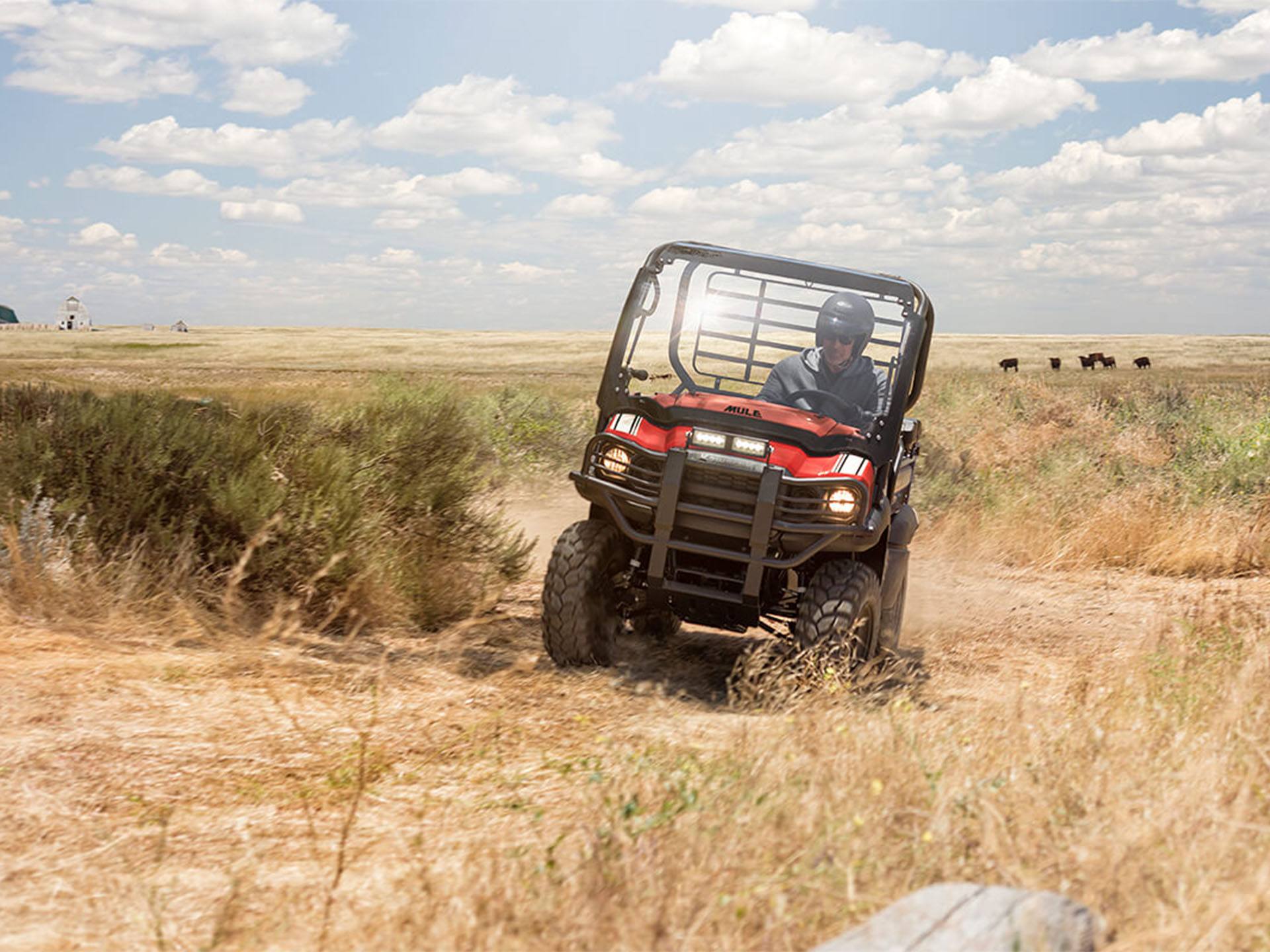 2024 Kawasaki MULE SX 4x4 XC in Huron, Ohio - Photo 5