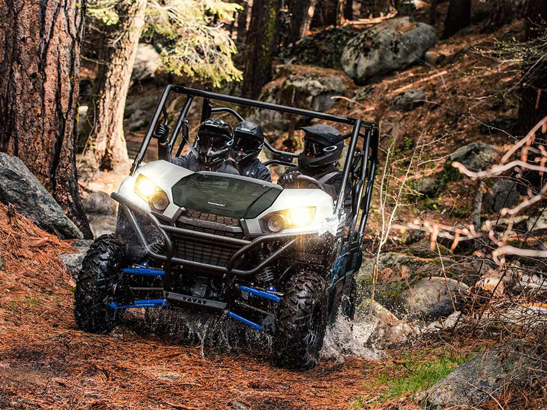 2024 Kawasaki Teryx4 in North Bend, Oregon - Photo 4