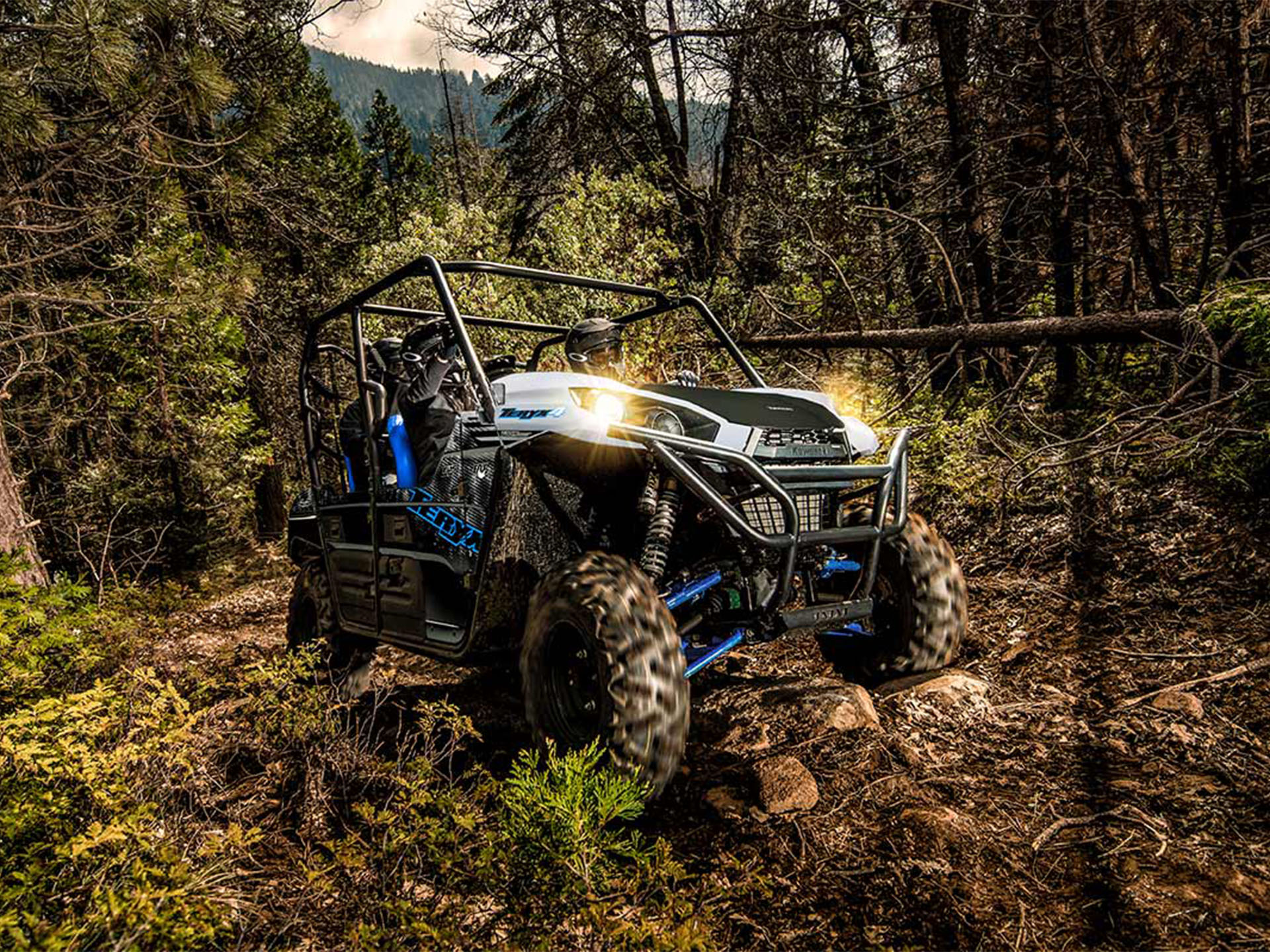 2024 Kawasaki Teryx4 in North Bend, Oregon - Photo 7