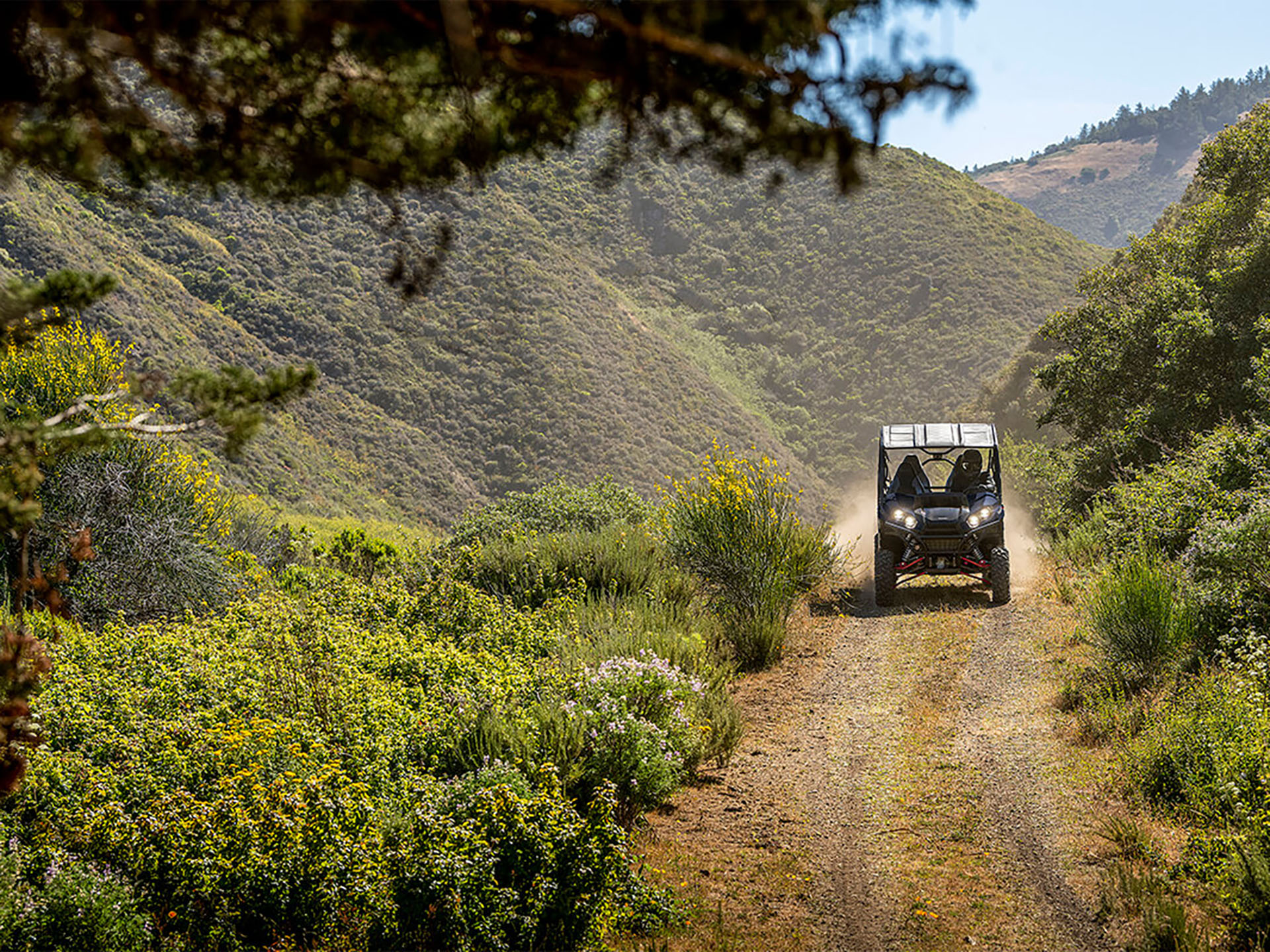 2024 Kawasaki Teryx4 S LE in Hollister, California - Photo 6