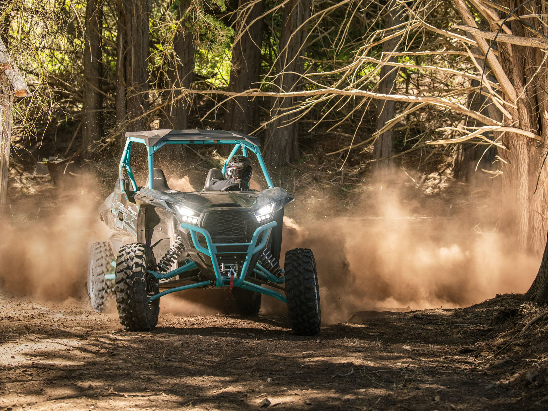 2024 Kawasaki Teryx KRX 1000 Trail Edition in Fairview, Utah