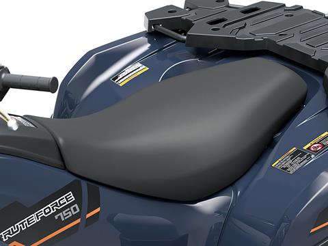 2025 Kawasaki Brute Force 750 LE EPS in Columbia, South Carolina - Photo 14