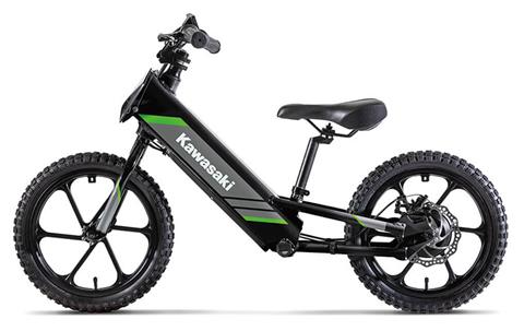 2025 Kawasaki Elektrode 16 in Columbia, South Carolina - Photo 2