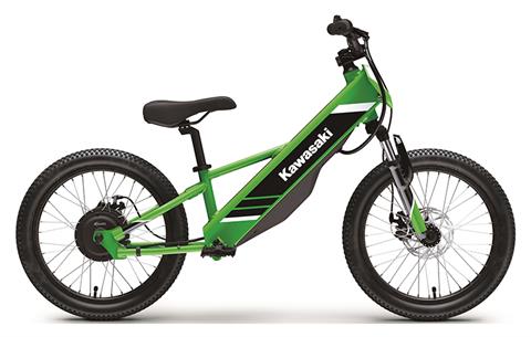 2025 Kawasaki Elektrode 20