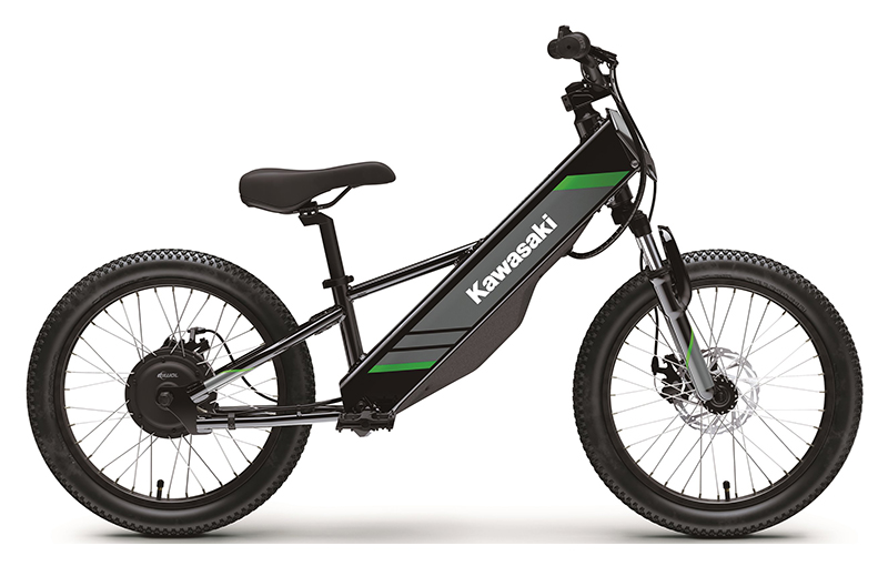 2025 Kawasaki Elektrode 20 in Columbia, South Carolina - Photo 1