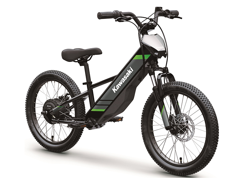 2025 Kawasaki Elektrode 20 in Columbia, South Carolina - Photo 2