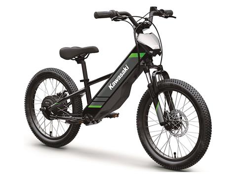2025 Kawasaki Elektrode 20 in Columbia, South Carolina - Photo 2