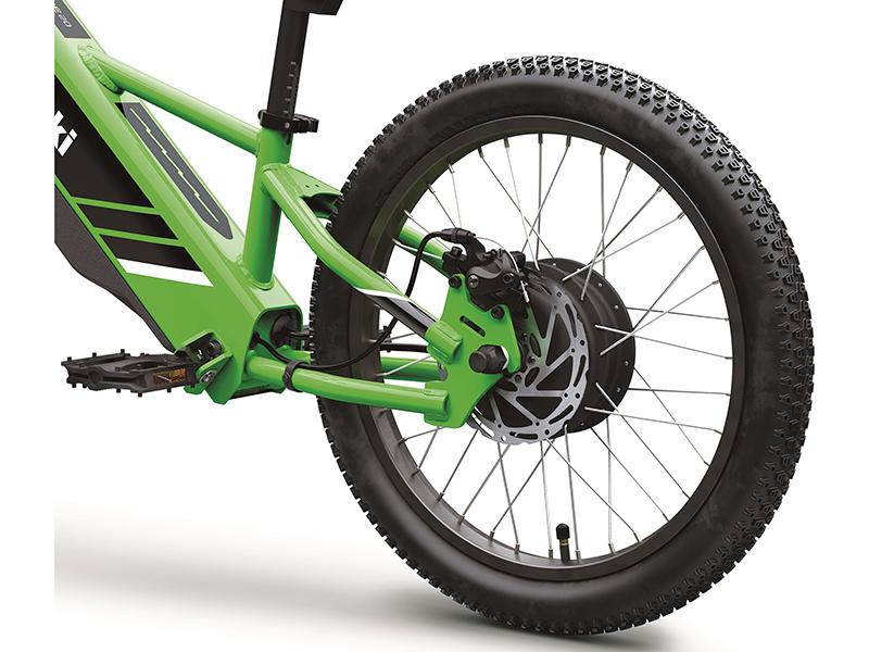 2025 Kawasaki Elektrode 20 in Columbia, South Carolina - Photo 9