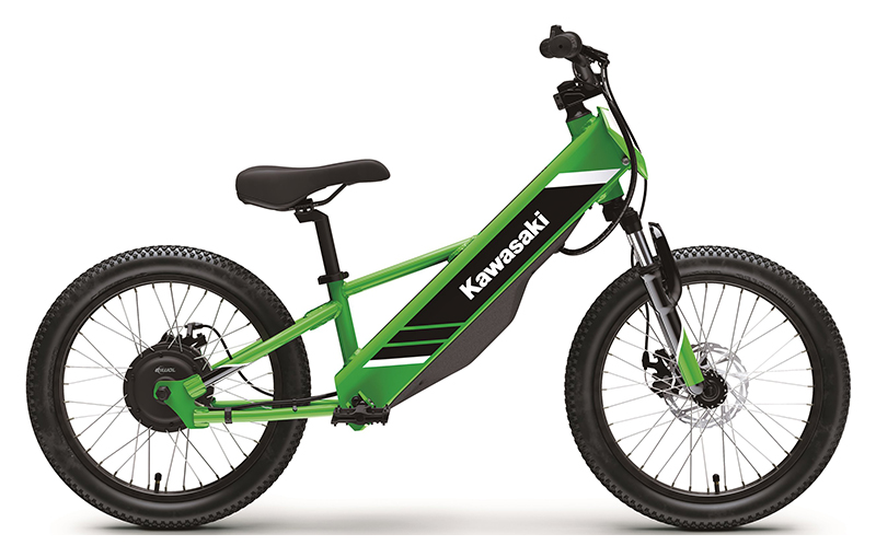 2025 Kawasaki Elektrode 20 in North Bend, Oregon - Photo 1