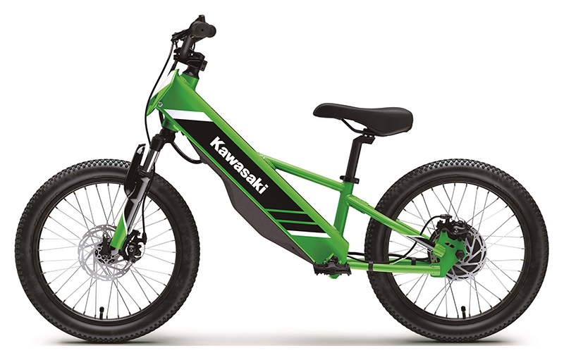 2025 Kawasaki Elektrode 20 in North Bend, Oregon - Photo 2