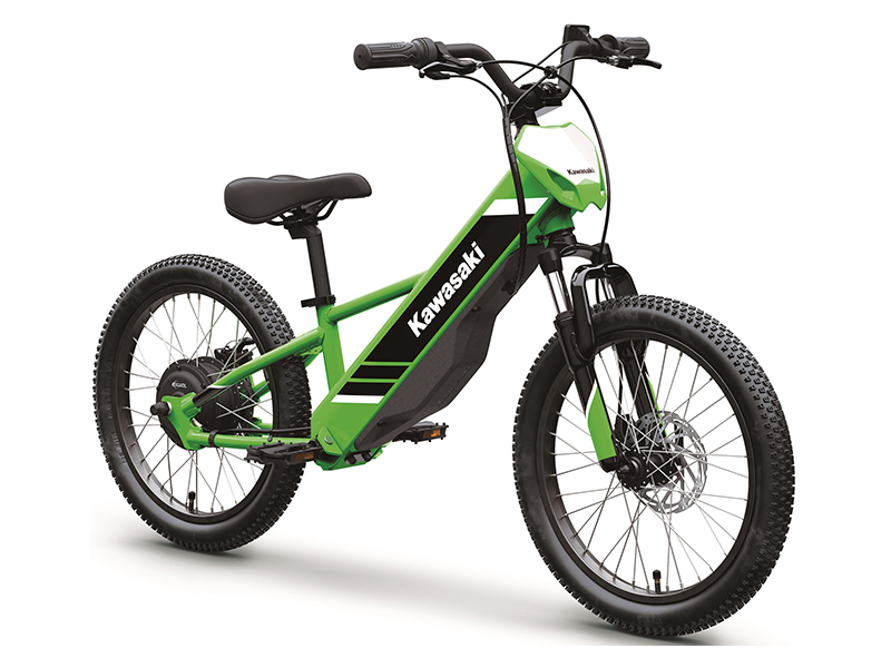 2025 Kawasaki Elektrode 20 in North Bend, Oregon - Photo 3