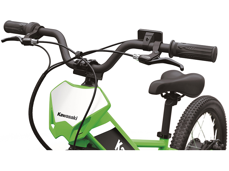 2025 Kawasaki Elektrode 20 in North Bend, Oregon - Photo 5