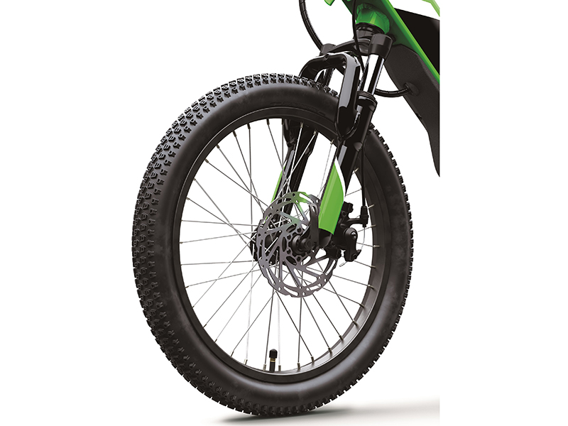 2025 Kawasaki Elektrode 20 in North Bend, Oregon - Photo 9