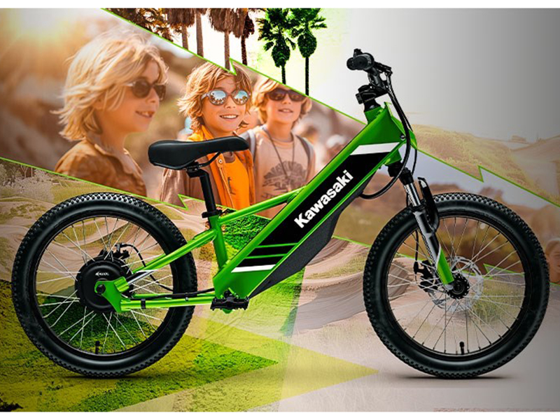 2025 Kawasaki Elektrode 20 in North Bend, Oregon - Photo 12