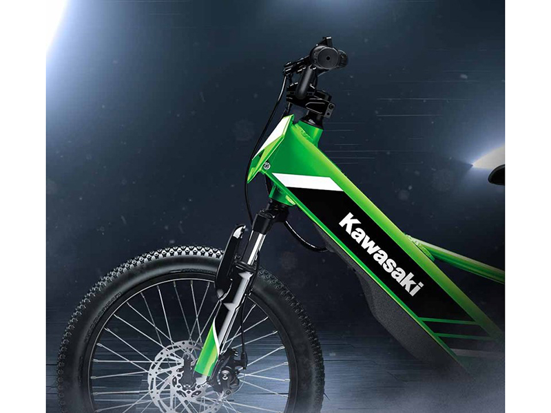 2025 Kawasaki Elektrode 20 in North Bend, Oregon - Photo 11