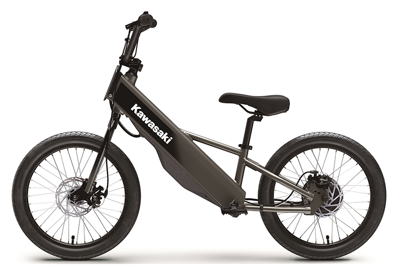 2025 Kawasaki Elektrode 20FS in North Bend, Oregon - Photo 2