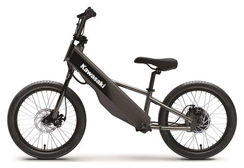 2025 Kawasaki Elektrode 20FS in North Bend, Oregon - Photo 2