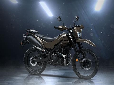 2026 Kawasaki KLX 230 DF ABS in Columbia, South Carolina - Photo 20