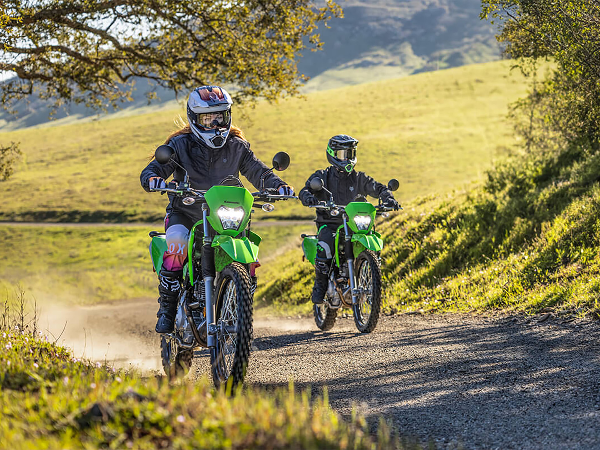 2025 Kawasaki KLX 230 S in North Bend, Oregon - Photo 5