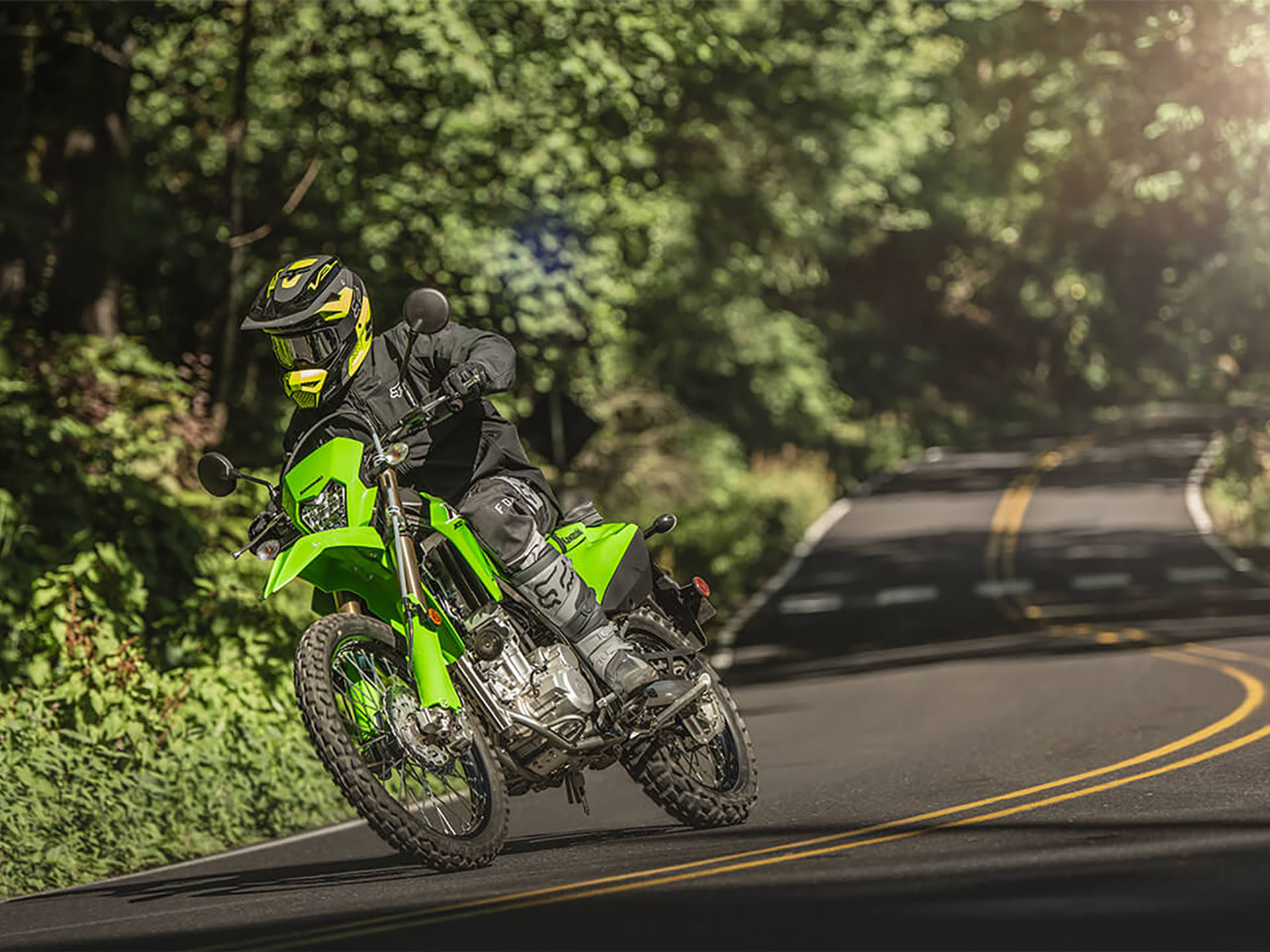 2025 Kawasaki KLX 300 in Santa Maria, California - Photo 4