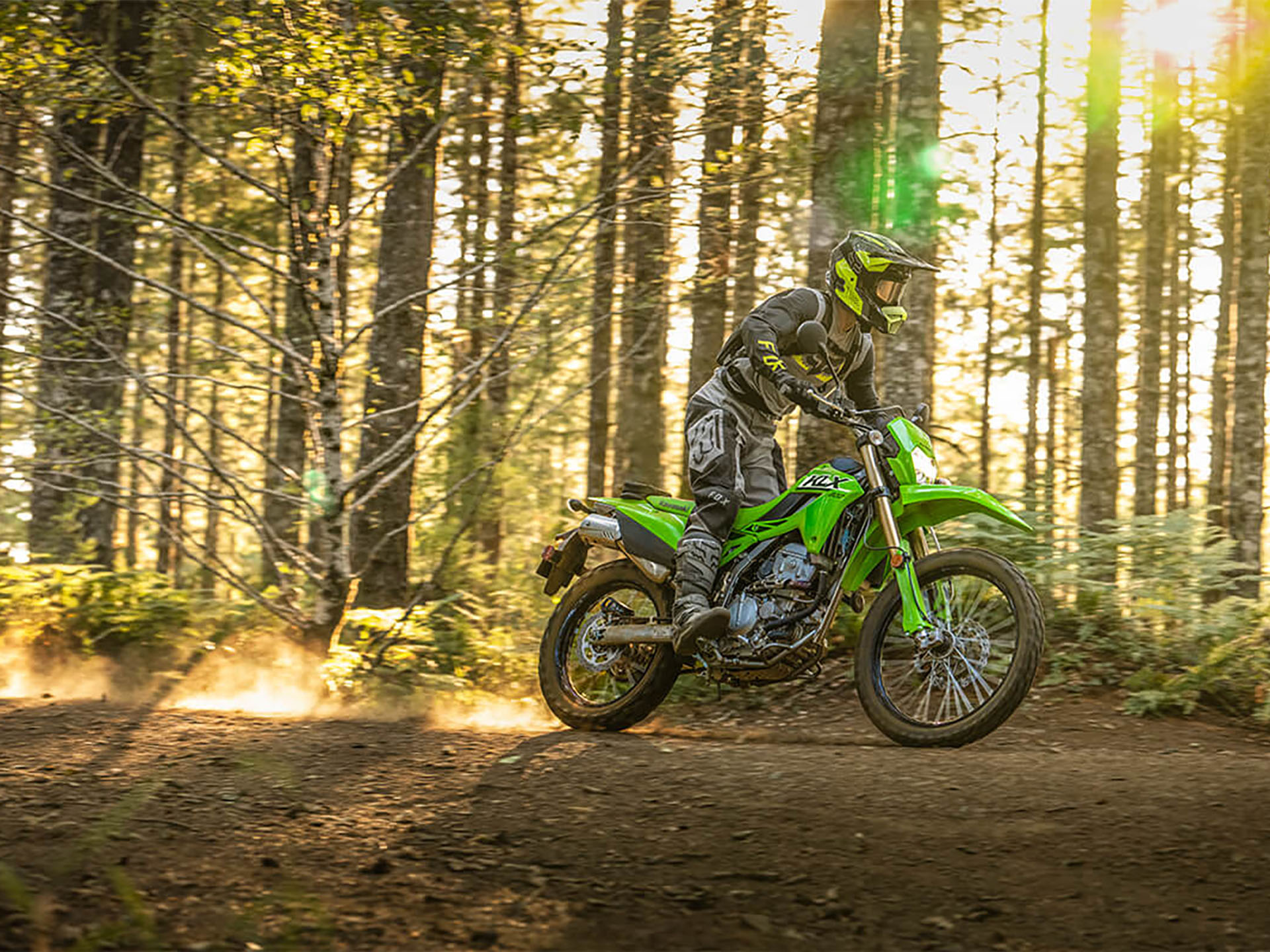 2025 Kawasaki KLX 300 in Santa Maria, California - Photo 7