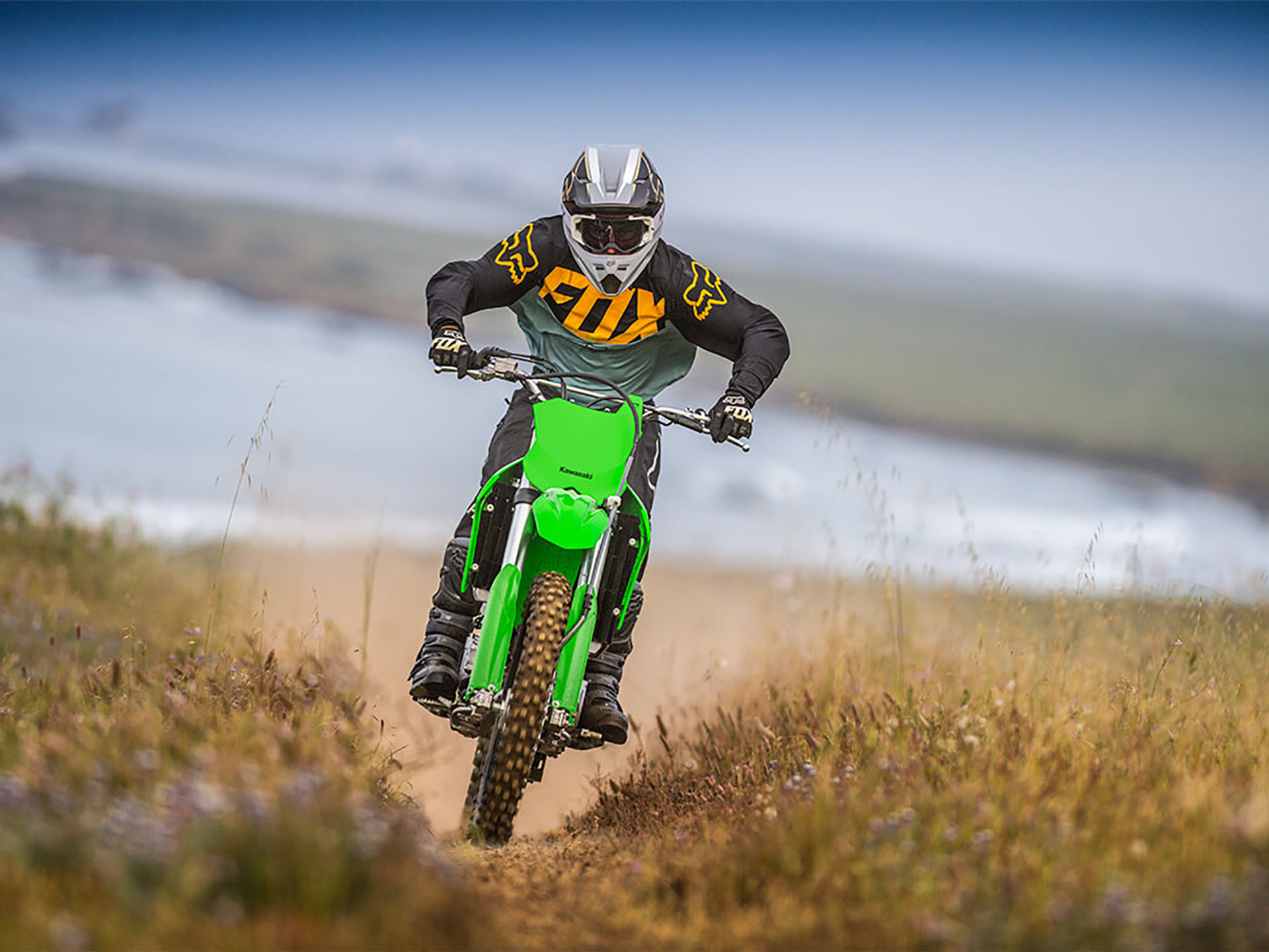 2025 Kawasaki KLX 300R in Columbia, South Carolina - Photo 6
