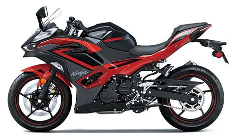 2025 Kawasaki Ninja 500 ABS in Santa Maria, California - Photo 2