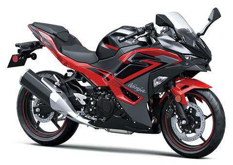 2025 Kawasaki Ninja 500 ABS in Santa Maria, California - Photo 3