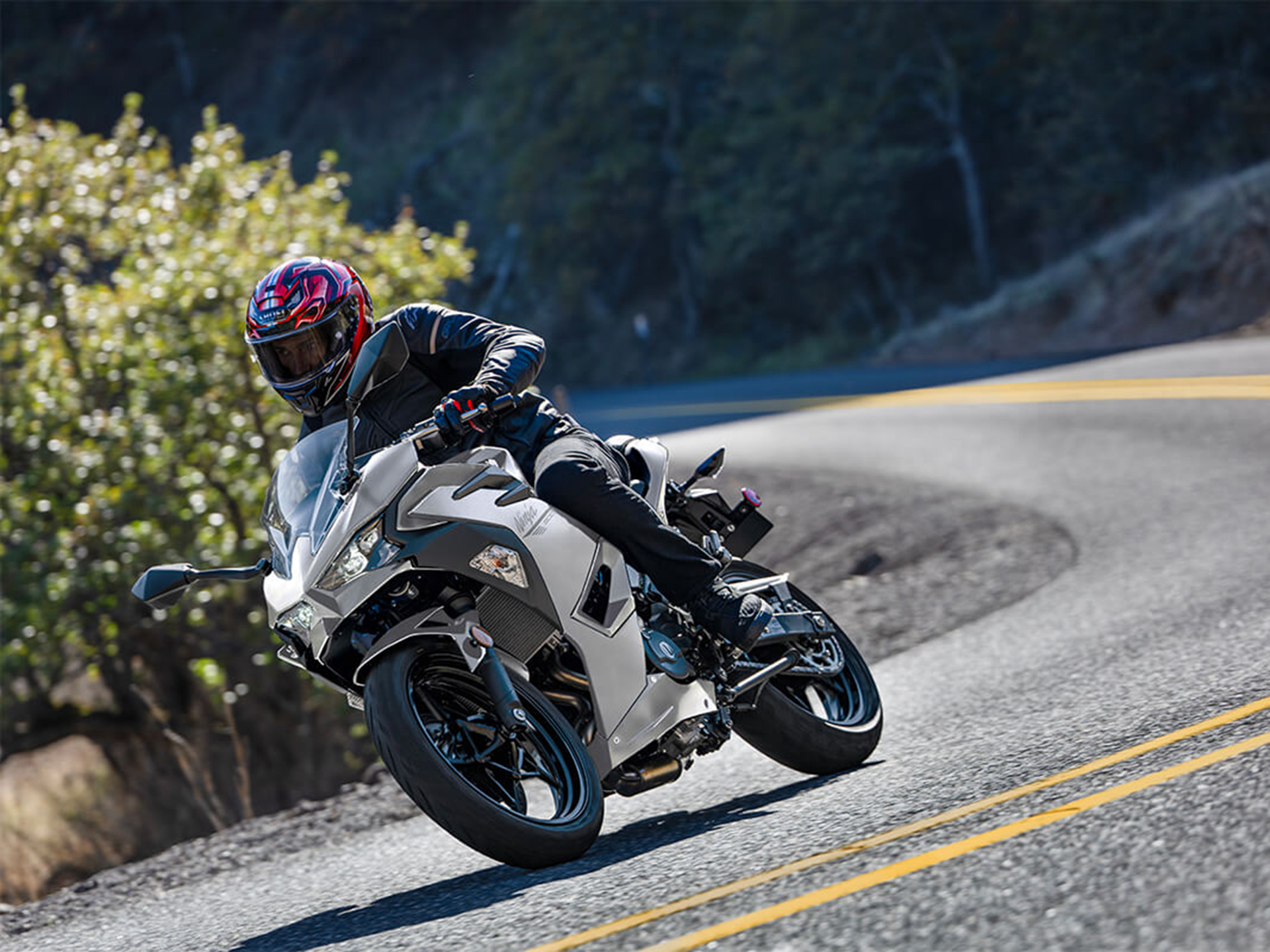 2025 Kawasaki Ninja 500 ABS in Santa Maria, California - Photo 5