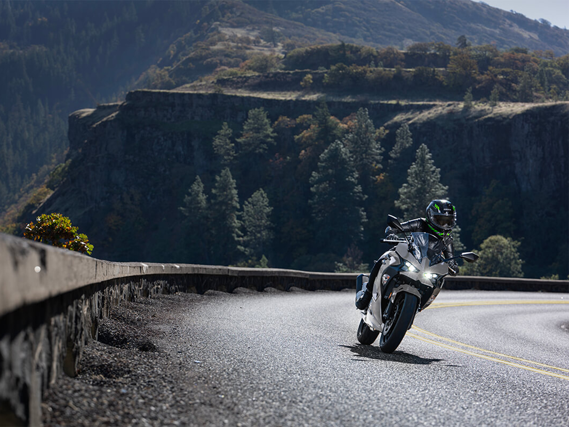 2025 Kawasaki Ninja 500 ABS in Santa Maria, California - Photo 6