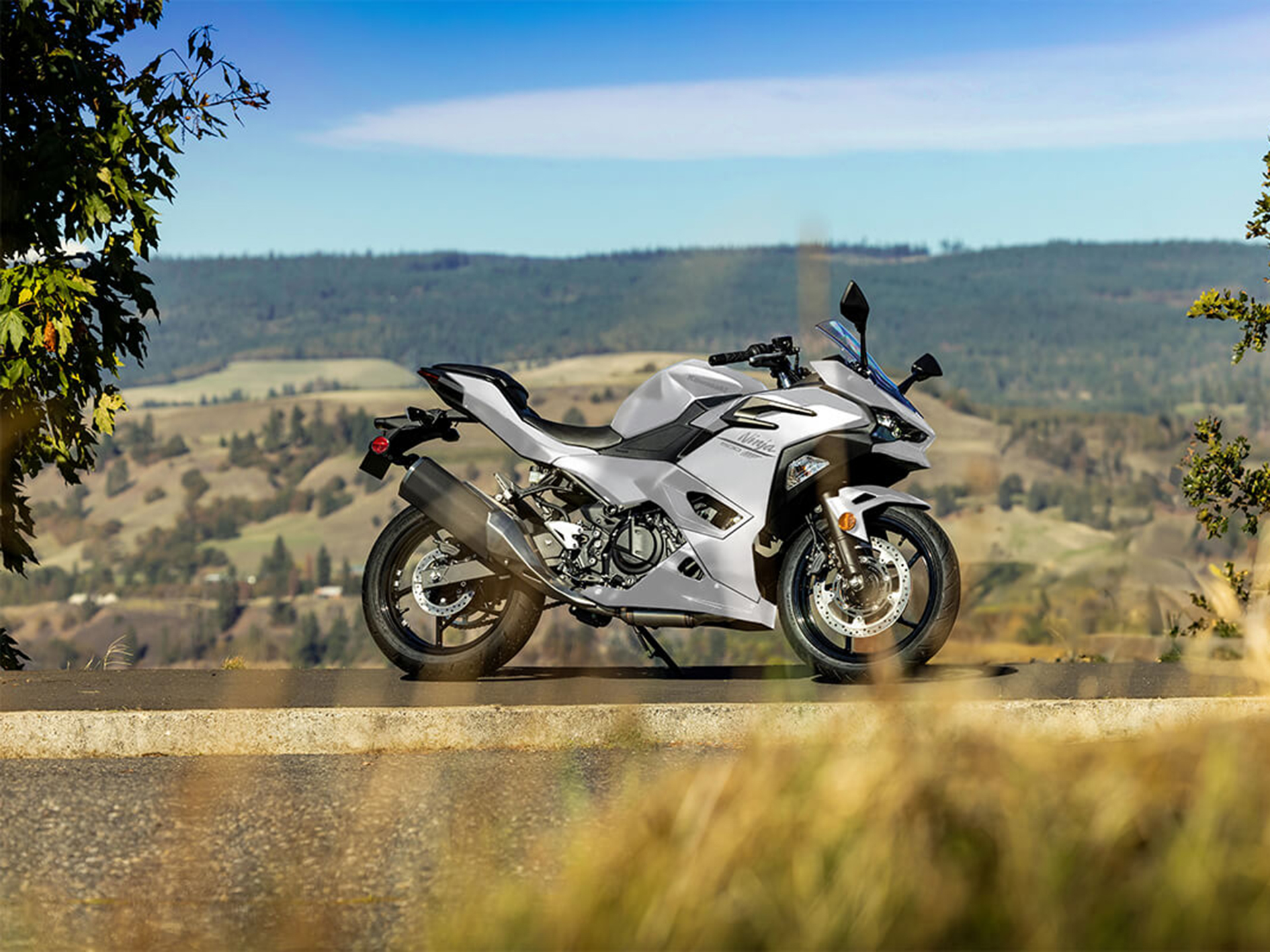 2025 Kawasaki Ninja 500 ABS in Santa Maria, California - Photo 8